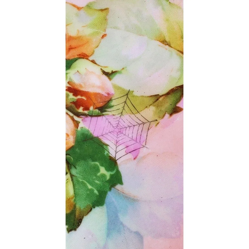 Vtg Hand-Painted Royal Rudolstadt Large Porcelain Plate Floral Spider Webs